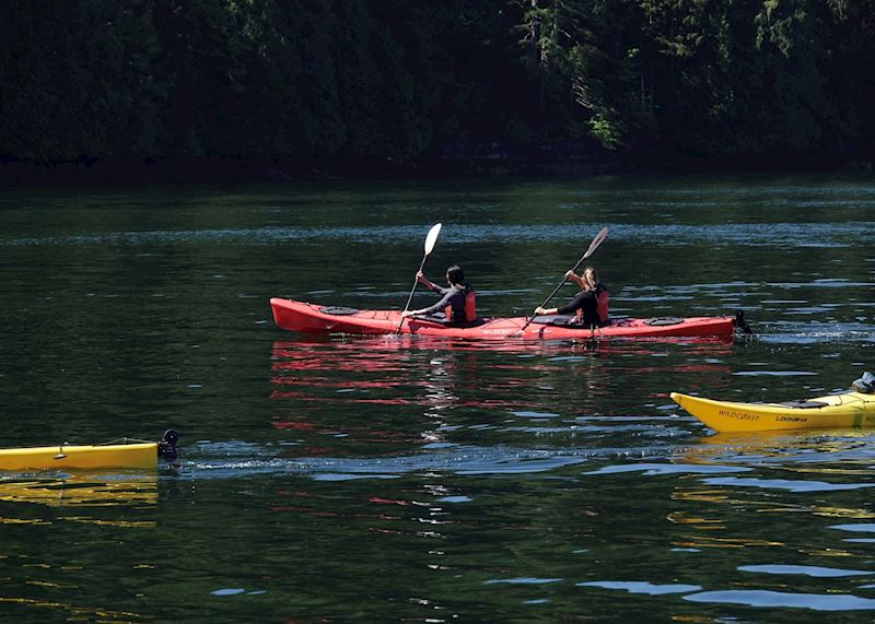 Kayaking with whales and wildlife