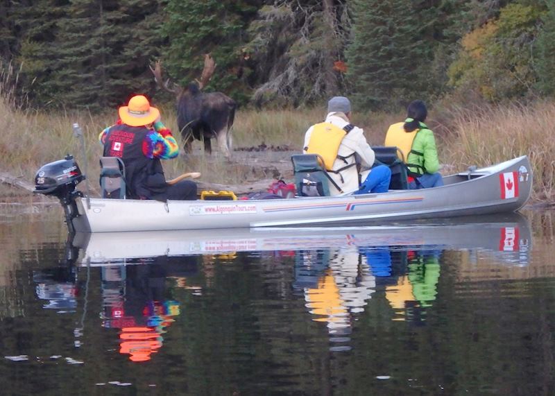 Algonquin motorised canoe tour