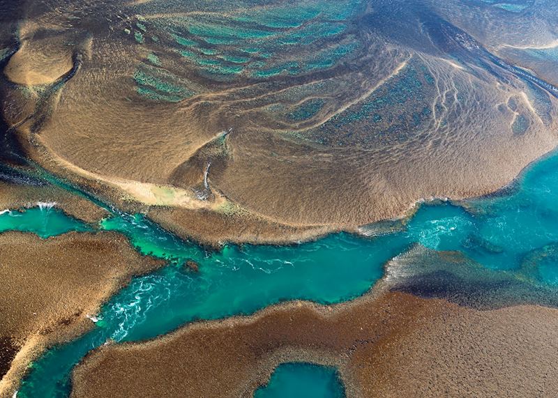 Montgomery Reef, Western Australia