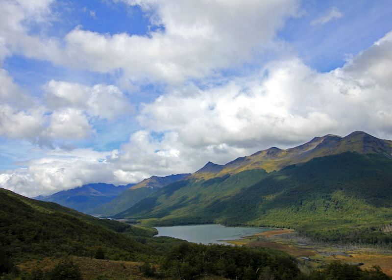 Autumn colored landscape along the road to Puerto Williams, Tierra Del Fuego