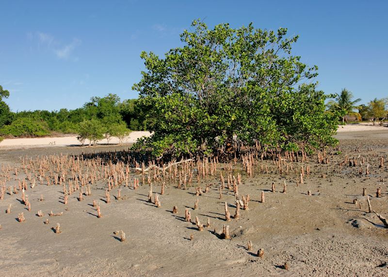 Vilanculos Coastal Wildlife Sanctuary