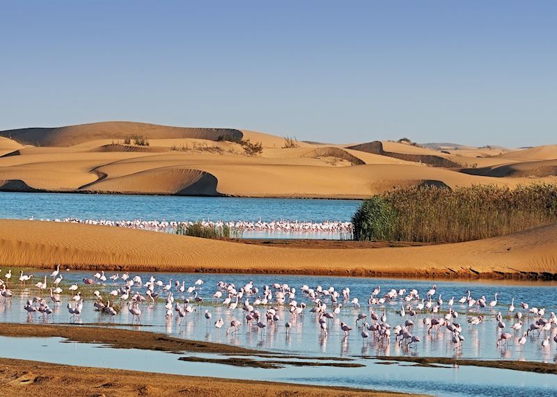 Pelican Point, Namibia
