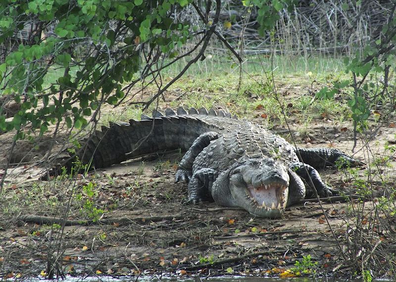 Gal Oya National Park