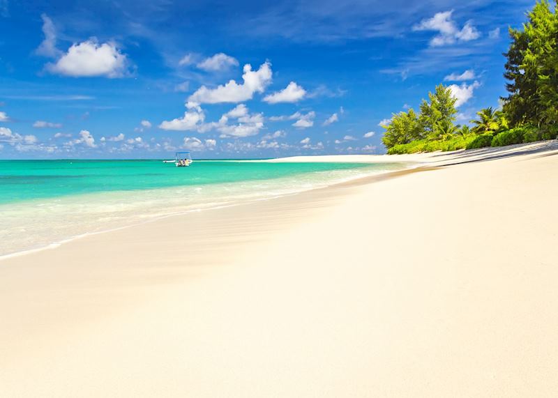 Denis Island, The Seychelles