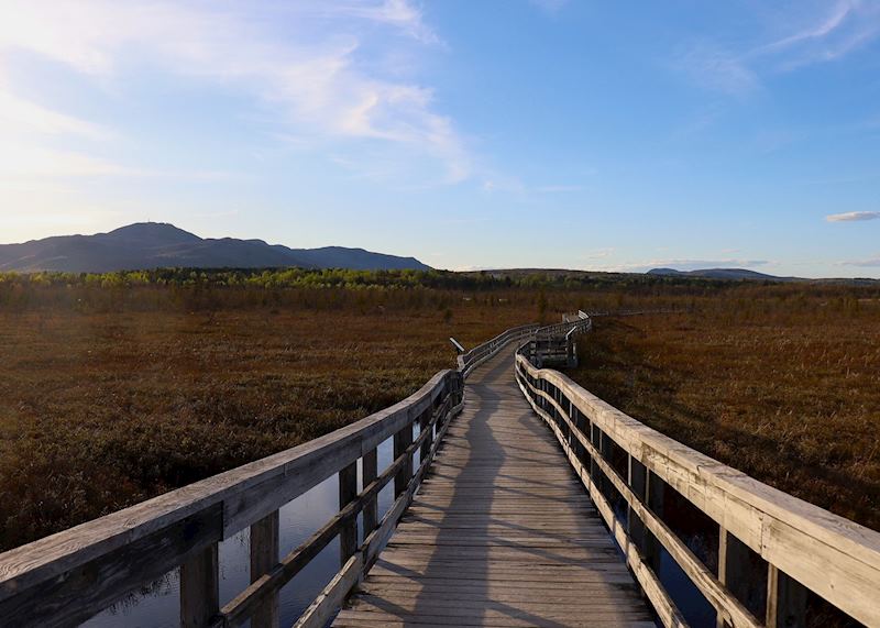Riviere aux Cerises marsh boardwalk, Magog, Québec