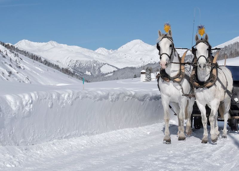 Sleigh Ride, Davos (Credit Marcel Giger)
