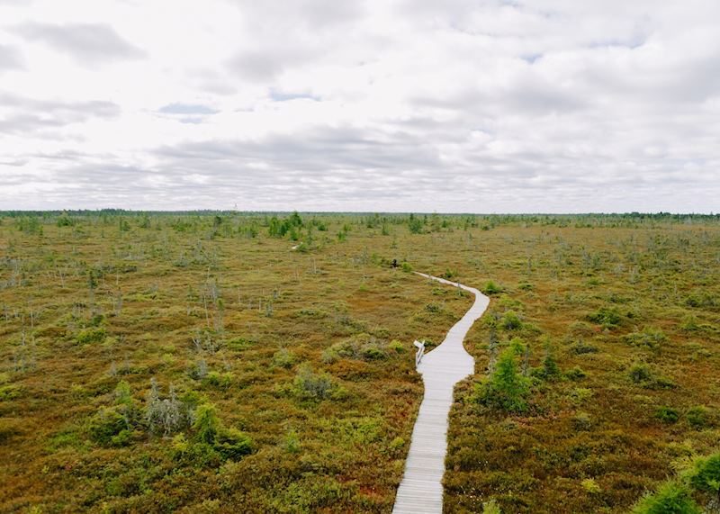 Kouchibouguac Park, Saint-Louis, New Brunswick