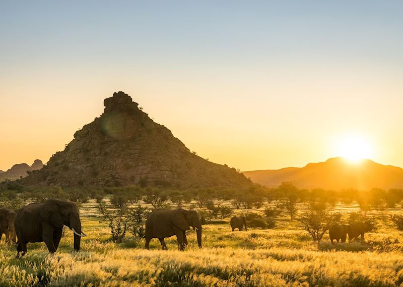 Safari from Mowani Mountain Camp, Damaraland