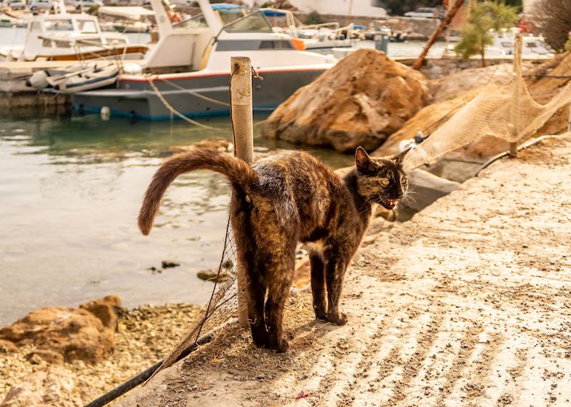 Syros, Cycaldic Islands
