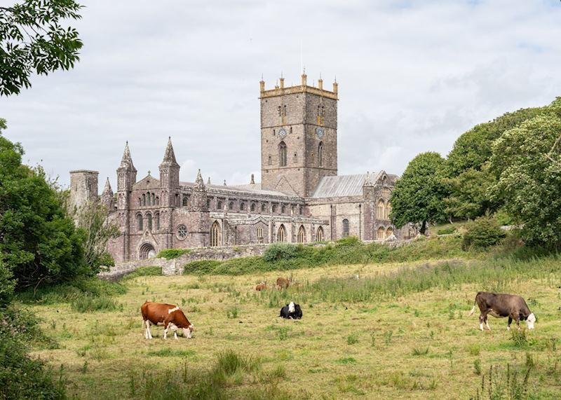 St Davids Cathedral, St Davids
