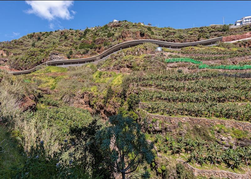 Agricultural landscape, Calheta