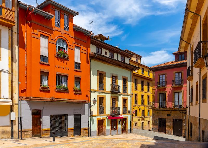 Pedestrian street, Oviedo, Asturias, Spain