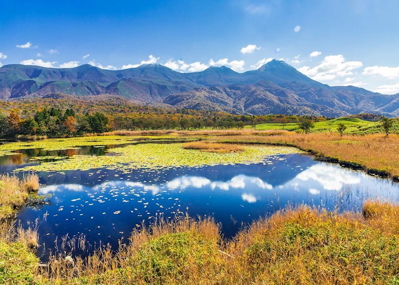 Shiretoko Peninsula in autumn