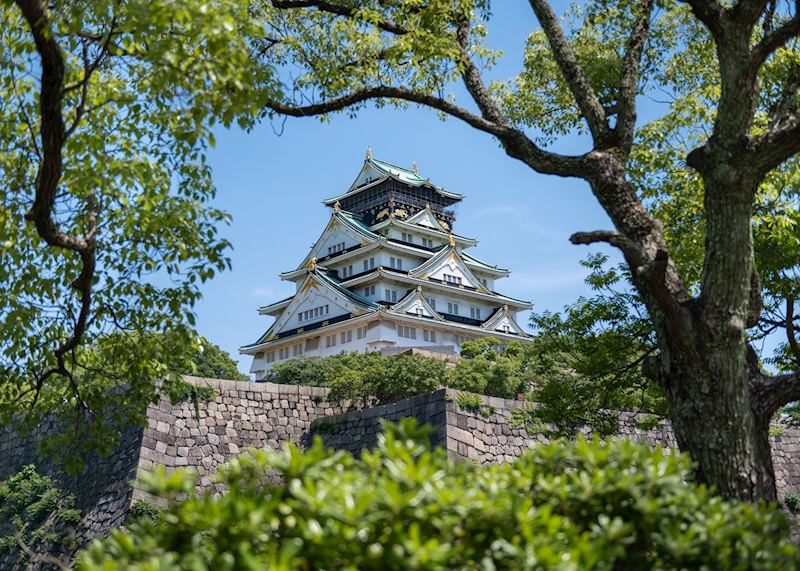 Osaka Castle during summer