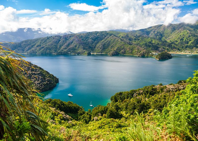 Marlborough Sounds, South Island