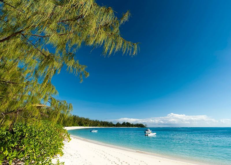Denis Island, The Seychelles