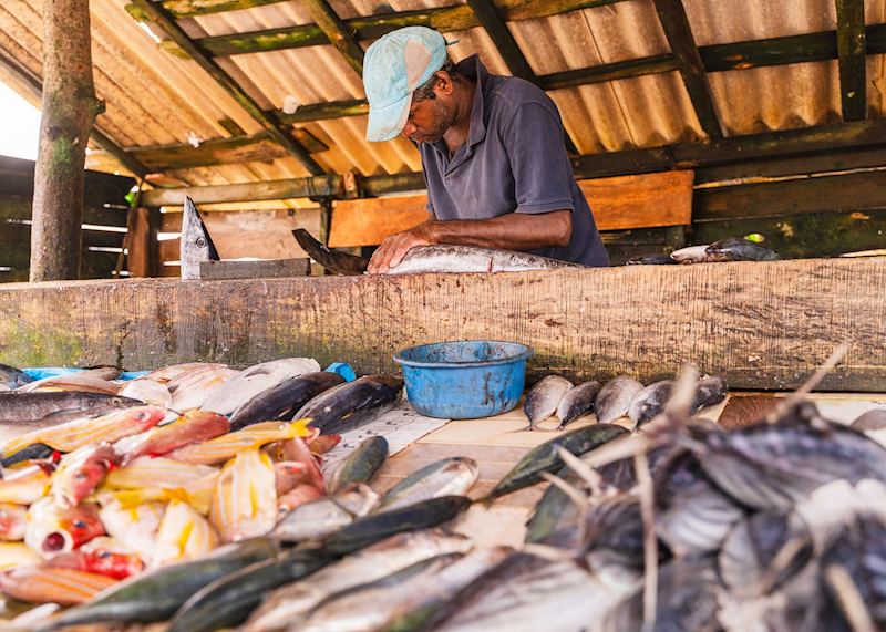 Fish market near Bentota
