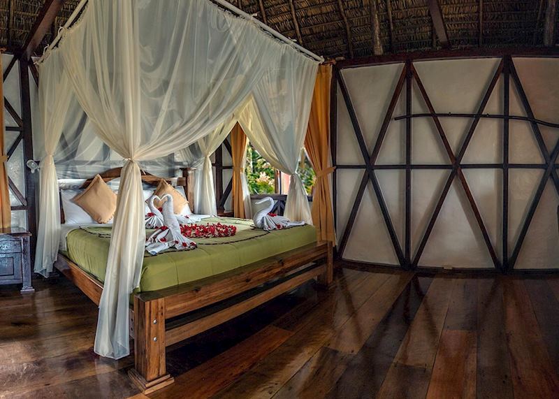 Suite, Napo Wildlife Center