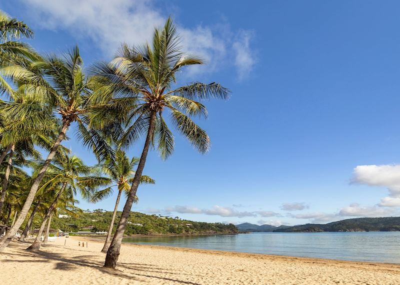 Catseye Beach on Hamilton Island