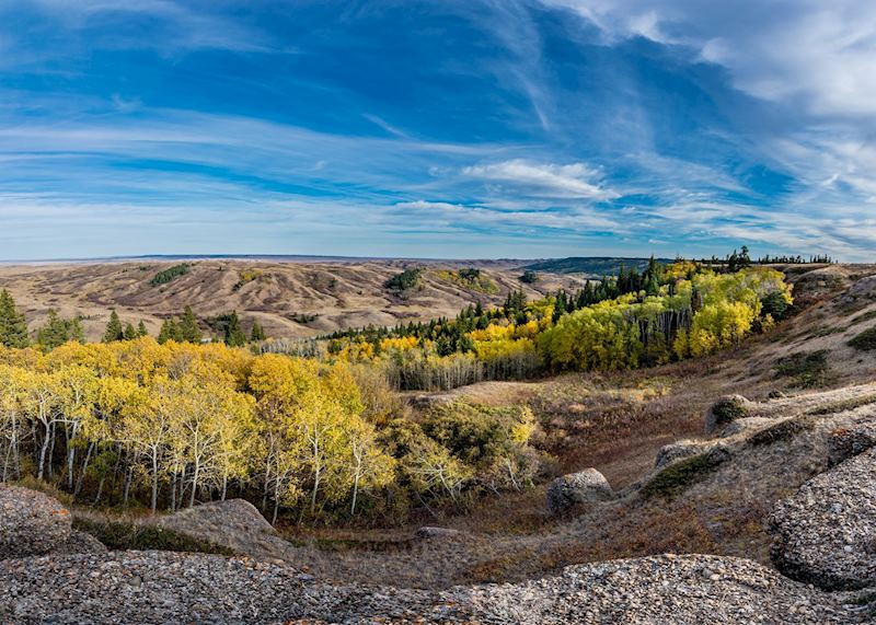 Cypress Hills Interprovincial Park, Saskatchewan