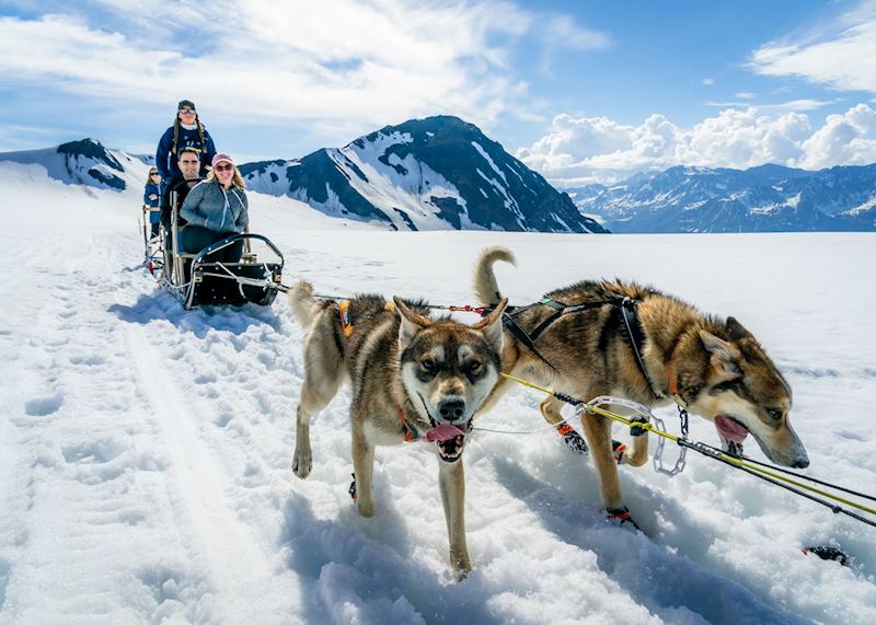 Glacier dog sled, Knik Glacier, Palmer
