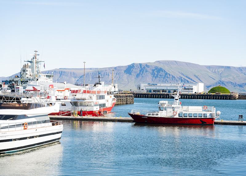 Food tour of Reykjavík
