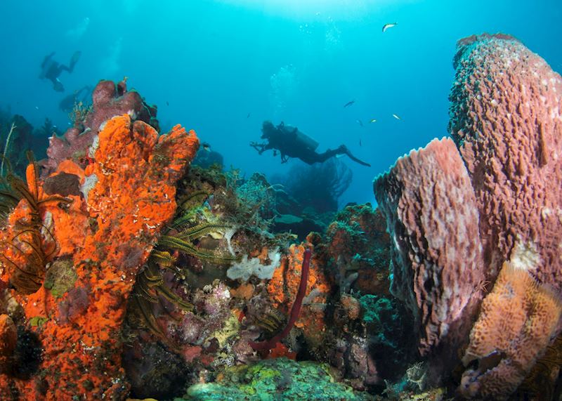 Scuba diving from Cap Maison