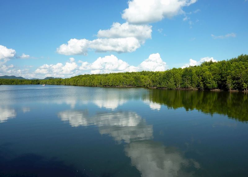 Mangroves, Koh Lanta