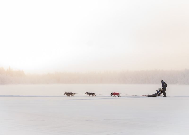 Husky safari, Finnish Lapland (credit: Safartica Oy)