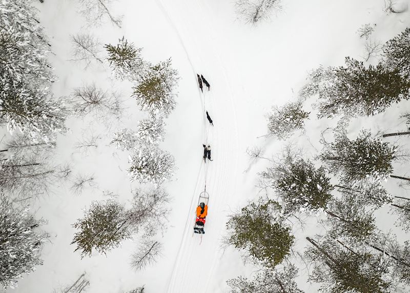 Husky safari, Finnish Lapland (credit: Safartica Oy)