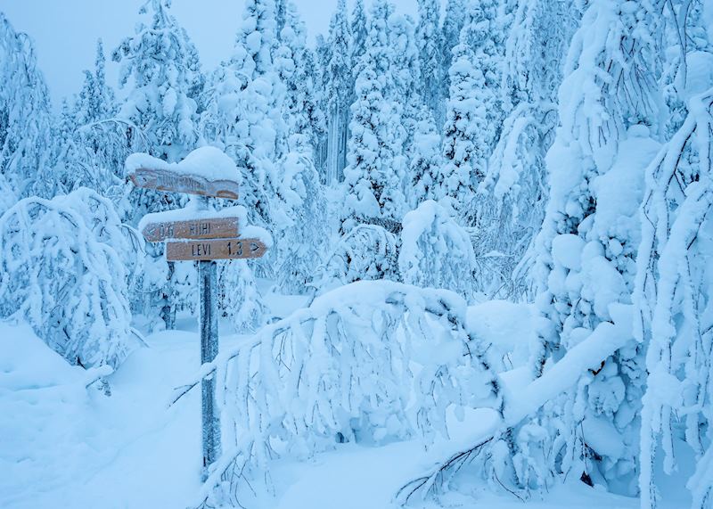 Levi, Finnish Lapland