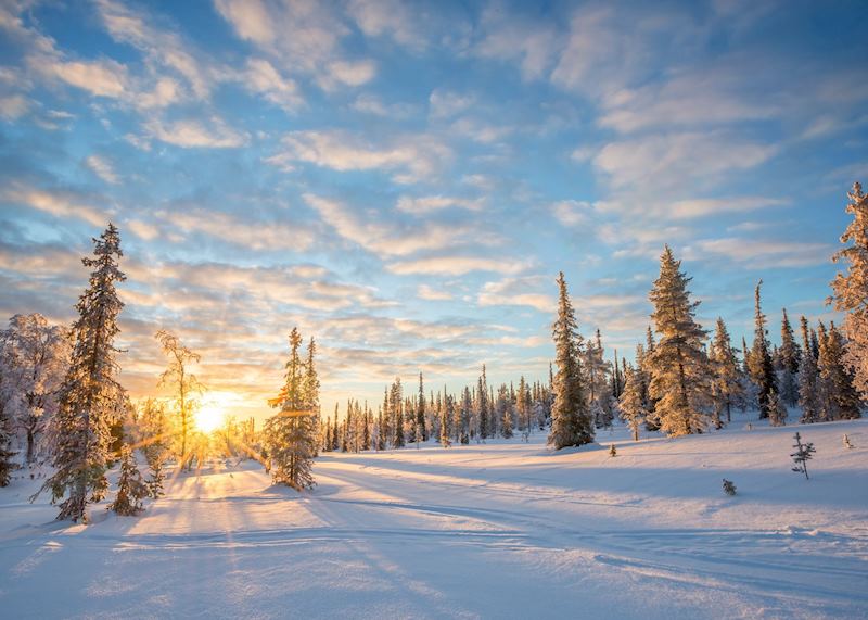 Saariselkä, Finnish Lapland