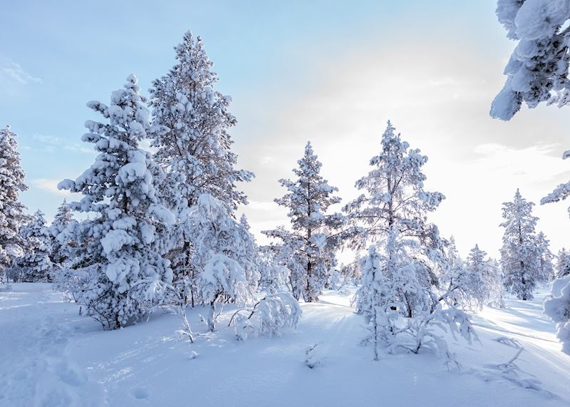 Saariselkä, Finnish Lapland