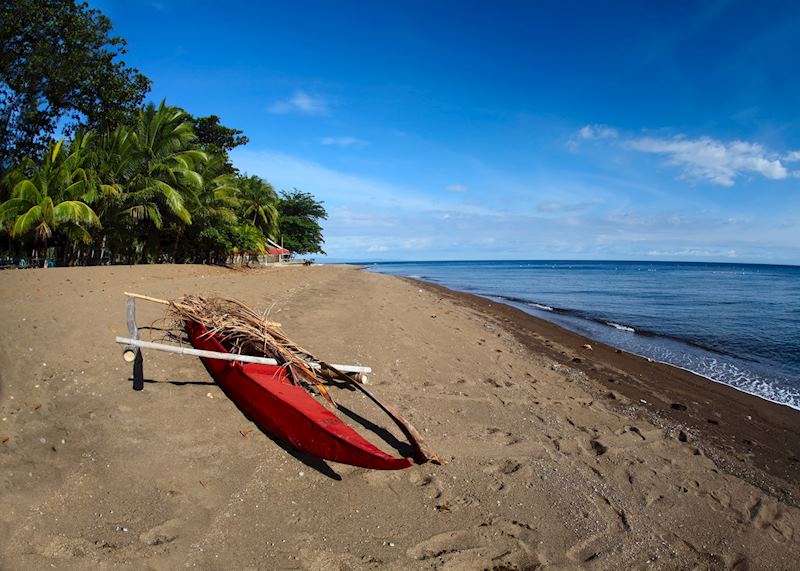 Beach, Dauin