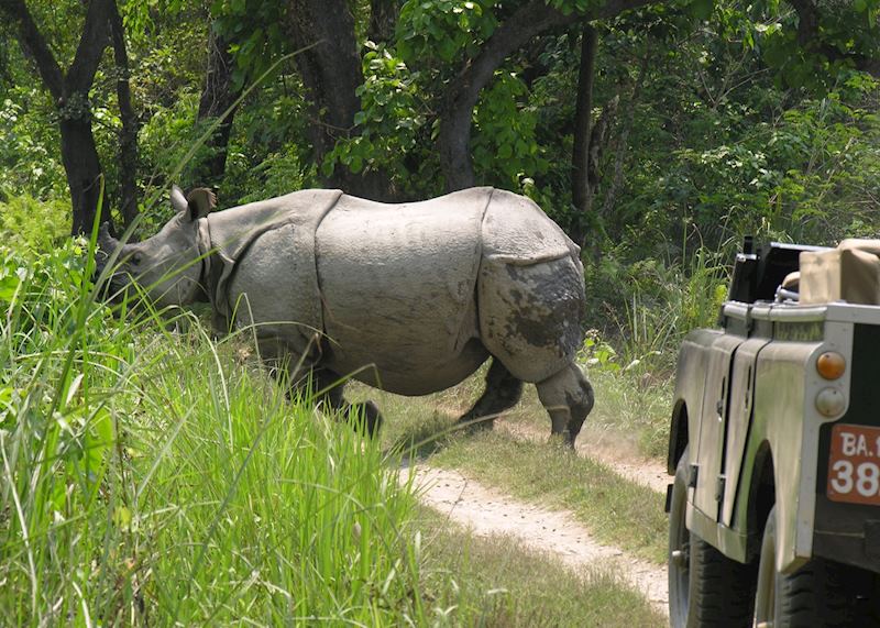 Chitwan, Nepal