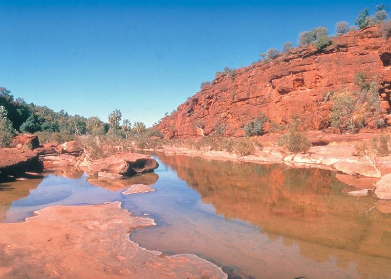 Palm Valley, Alice Springs