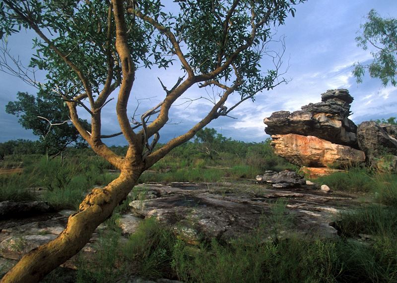 Mount Borradaile, Arnhem Land, Northern Territory