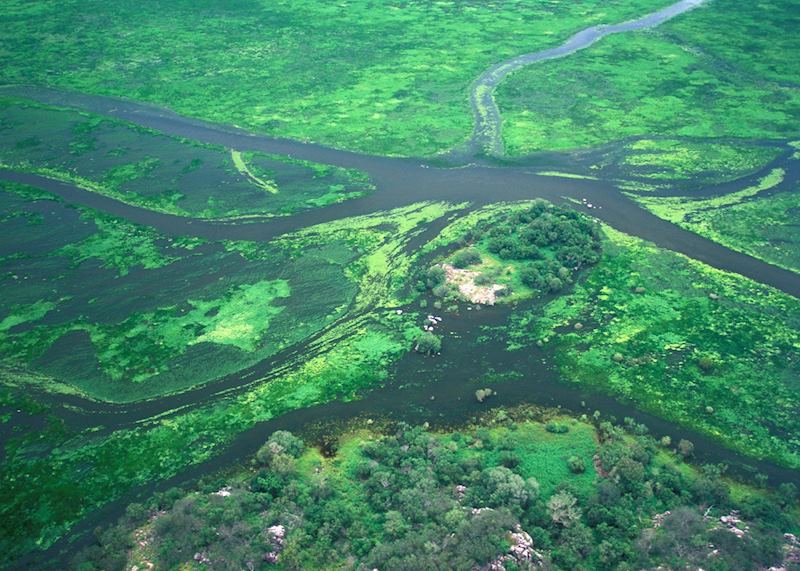 Cooper Creek Billabong, Arnhem Land, Northern Territory