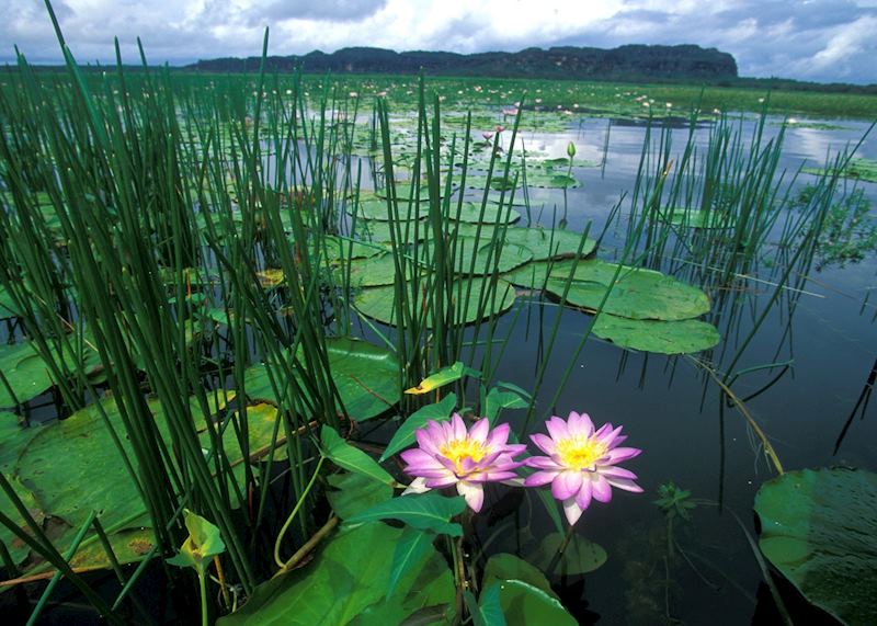 Cooper Creek, Arnhem Land, Northern Territory