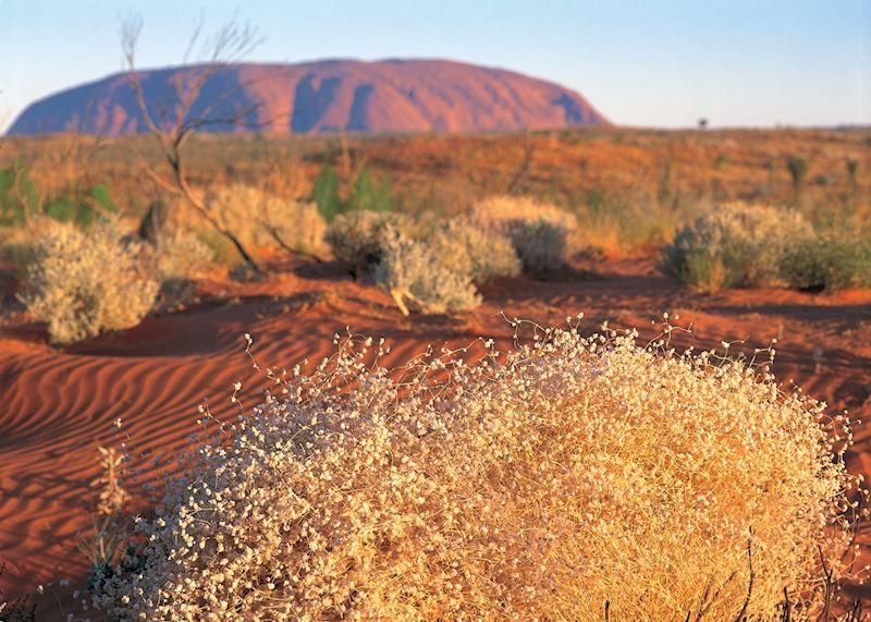 Uluru, Central Australia