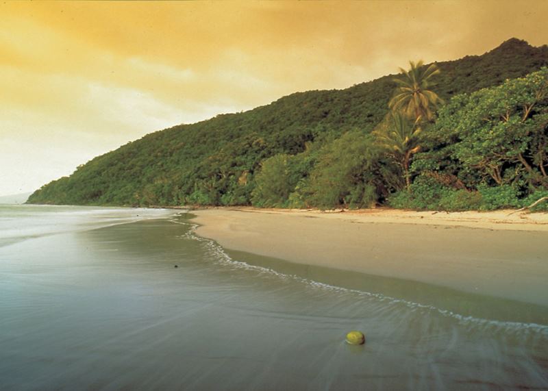 Daintree & Cape Tribulation, Tropical North Queensland