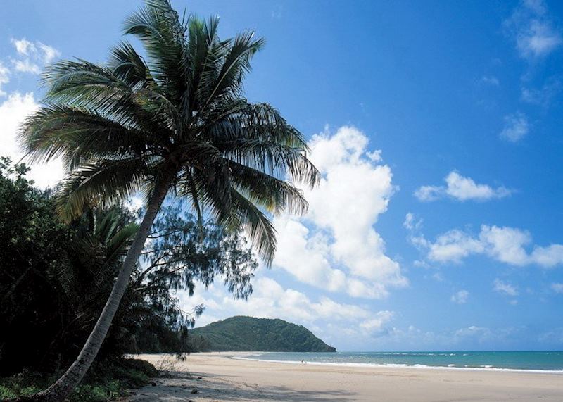 Daintree & Cape Tribulation, Queensland