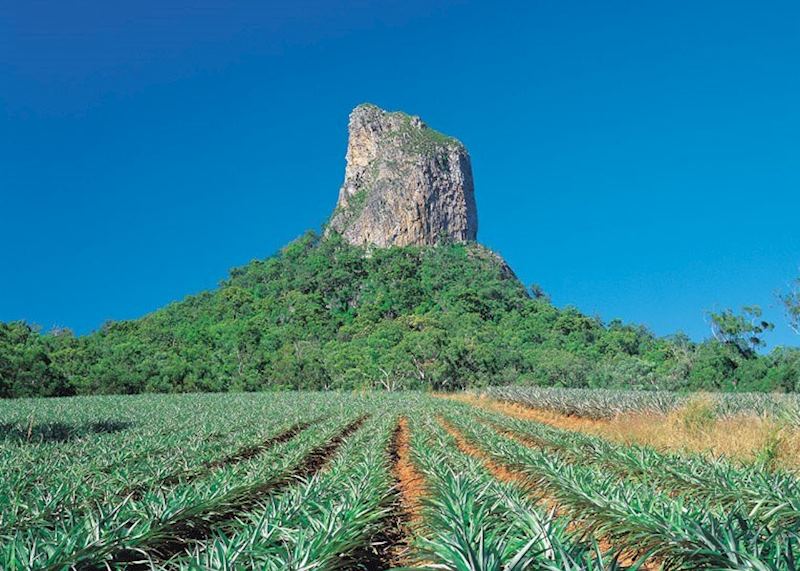 Mount Coonowrin, The Sunshine Coast, Queensland