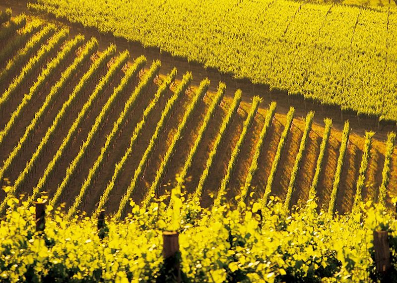 Adelaide Hills, South Australia
