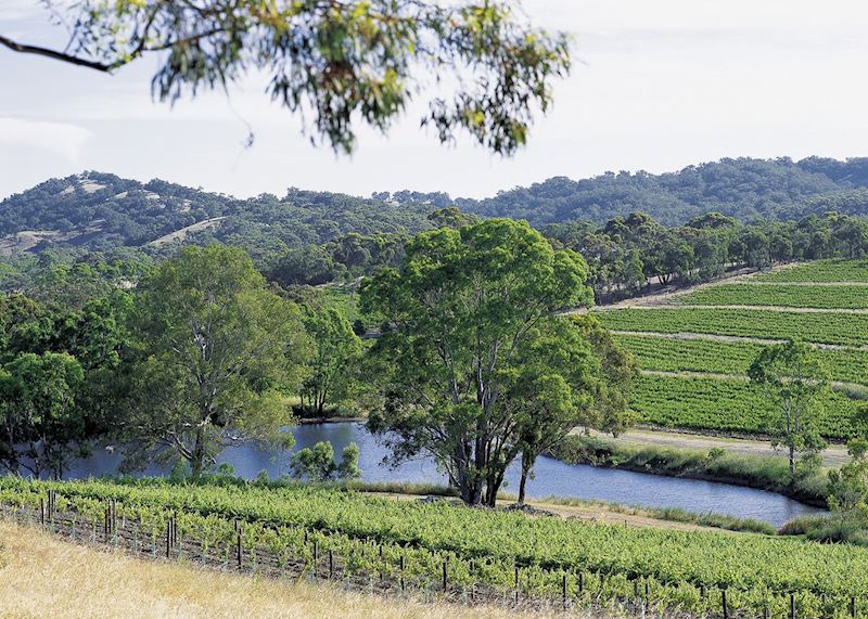 Clare Valley, South Australia