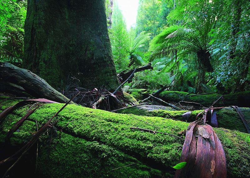 Peppers Bush Adventures, Tasmania