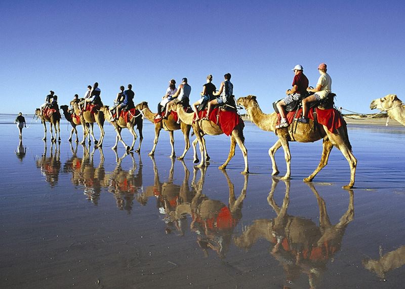 Camel riding on Cable Beach, Broome