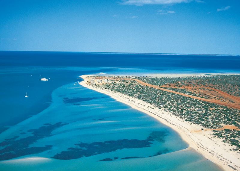Monkey Mia coastline, Western Australia