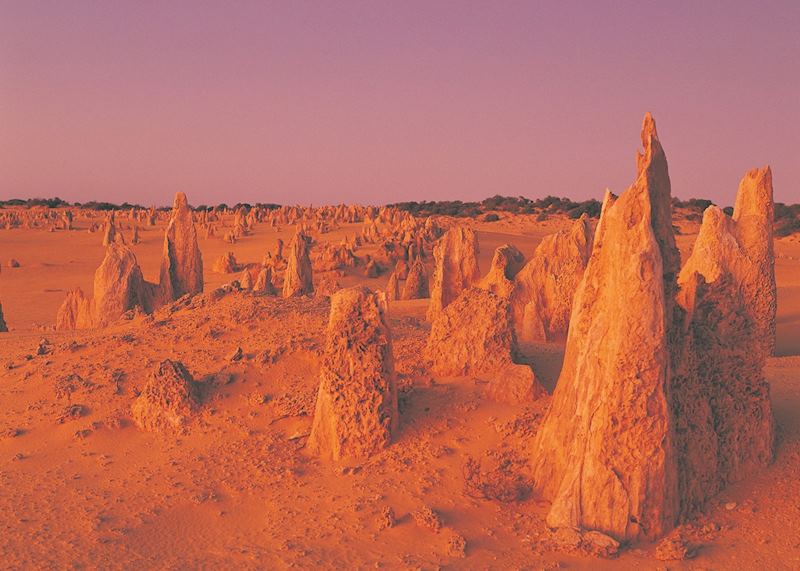 Nambung National Park & Cervantes, Western Australia