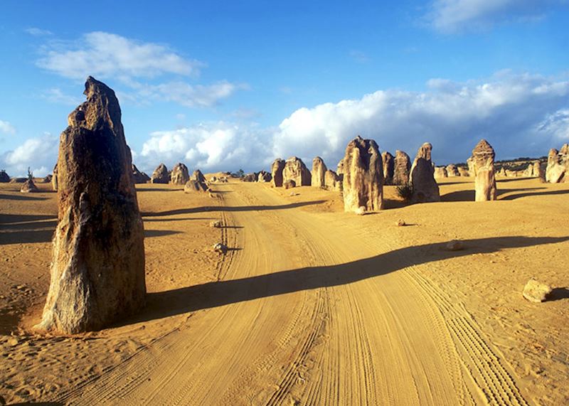 Nambung National Park & Cervantes, Australia